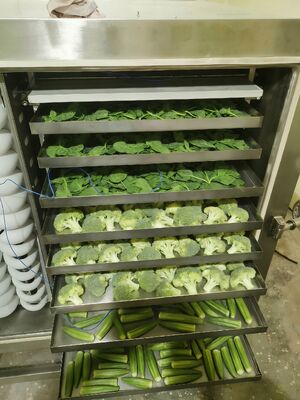 Điện sưởi ấm công nghiệp tủ làm khô đóng băng phòng cung cấp kích thước 12700x2600x3300mm và thời gian sấy 20 đến 24 giờ lý tưởng cho công nghiệp