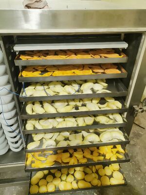 Đơn vị làm lạnh BITZER Máy làm khô đông lạnh Lượng định số 200KW Thiết bị làm khô đông lạnh cho ngành công nghiệp dược phẩm, thực phẩm và hóa chất