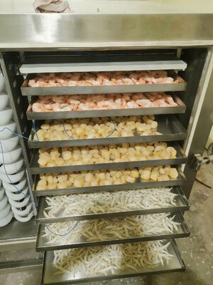 Liofilizador industrial automático con capacidad de lote de 1000 kg, ideal para la conservación de productos farmacéuticos, alimentarios y químicos