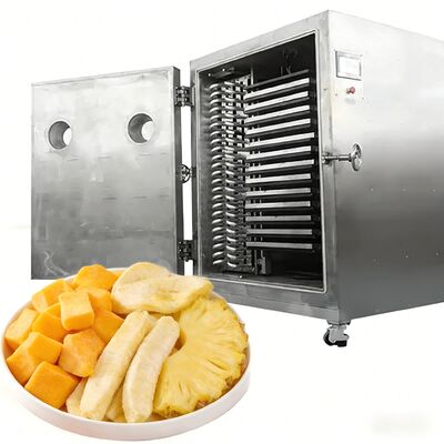 Máy sấy đông lạnh thương mại dung tích lớn 100Kg 200Kg