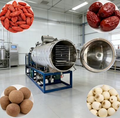 Hệ thống điều khiển PLC Máy tủ đông lạnh chân không cung cấp Phòng Kích thước 12700 2600 3300mm hoàn hảo cho ngành công nghiệp dược phẩm, thực phẩm và hóa chất