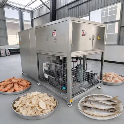 Máy sấy đông lạnh chân không thực phẩm lô 100kg với bơm chân không Baosi hoặc , nhiệt độ sấy đông lạnh từ trừ 40 đến 80 độ C
