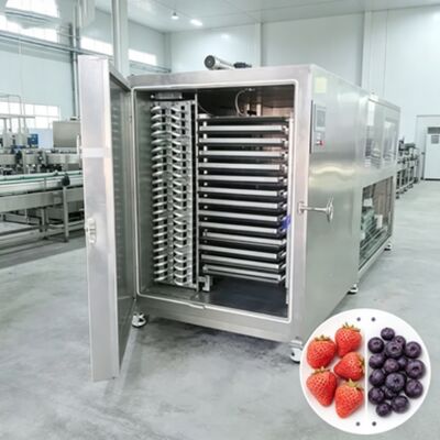 Kích thước buồng 12700 2600 3300mm Máy sấy đông lạnh công nghiệp bao gồm hệ thống điều khiển PLC và thời gian sấy 20 đến 24 giờ Được thiết kế để hoạt động