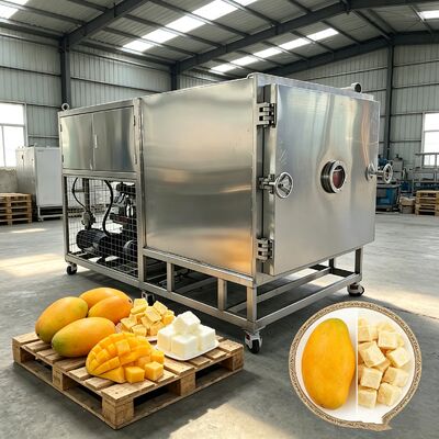 304 Stainless Steel Tray vật liệu rau đông khô cung cấp chế độ hoạt động tự động đảm bảo hiệu suất đông khô