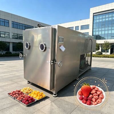 100Kg lô rau đông khô với nhiệt độ khoảng trừ 50 cộng 50 độ C và hai giai đoạn Rotary Vane Máy bơm chân không